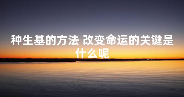 种生基的方法 改变命运的关键是什么呢